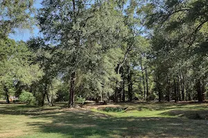 Scott Joplin Park image