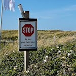 Photo n°2 de l'avis de Kamil.O fait le 10/07/2023 à 12:20 sur le  Strandrestaurant Kap-Horn à Hörnum