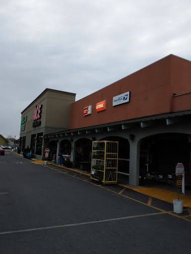 Islands Ace Hardware, 318 Johnny Mercer Blvd #5, Savannah, GA 31410, USA, 