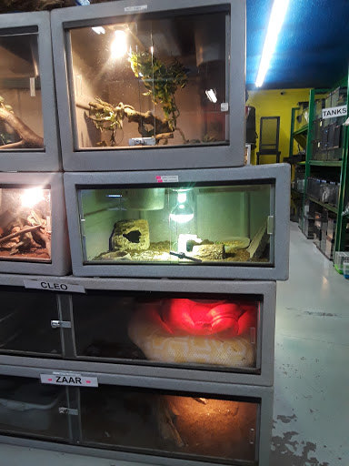 Pet Store «CUSTOM CREATURES PET SHOP», reviews and photos, 10727 N 19th Ave, Phoenix, AZ 85029, USA