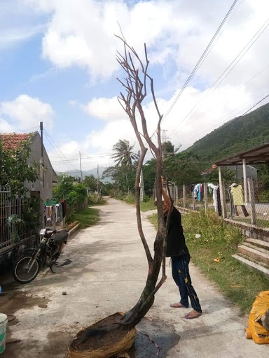 Top 20 cửa hàng xăng dầu Huyện Vạn Ninh Khánh Hòa 2022