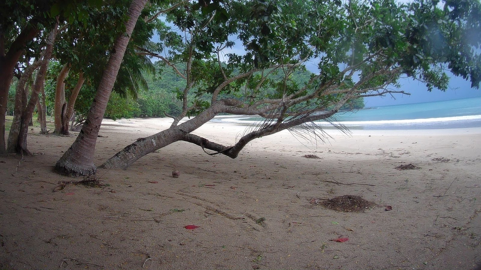 Foto von Penanindigan Beach mit sehr sauber Sauberkeitsgrad