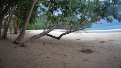 Foto von Penanindigan Beach mit sehr sauber Sauberkeitsgrad