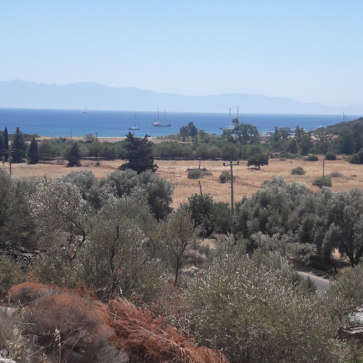 Yeditepe Doğa Evleri