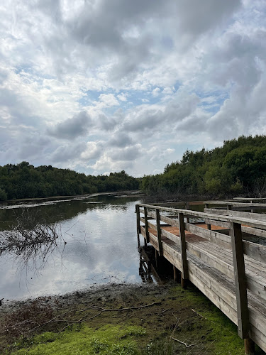 Hatfield Moors Nature Reserve - Other