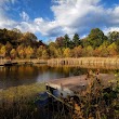 Font Hill Wetland Park