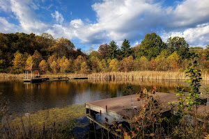 Font Hill Wetland Park