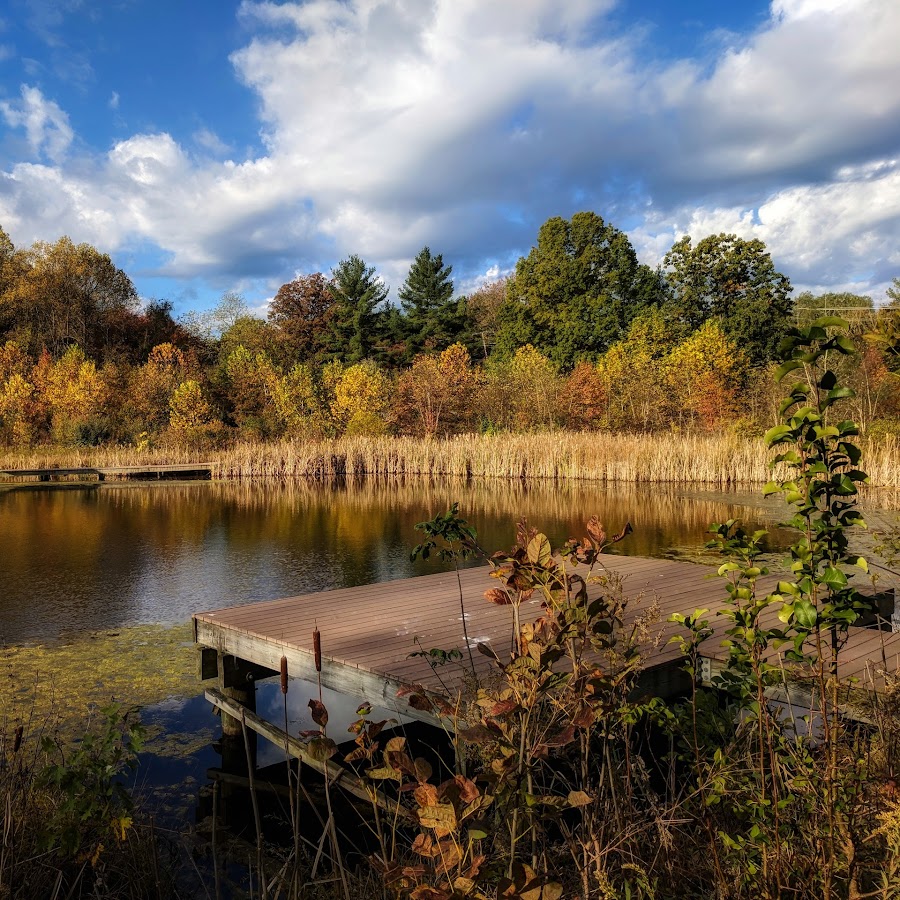 Font Hill Wetland Park