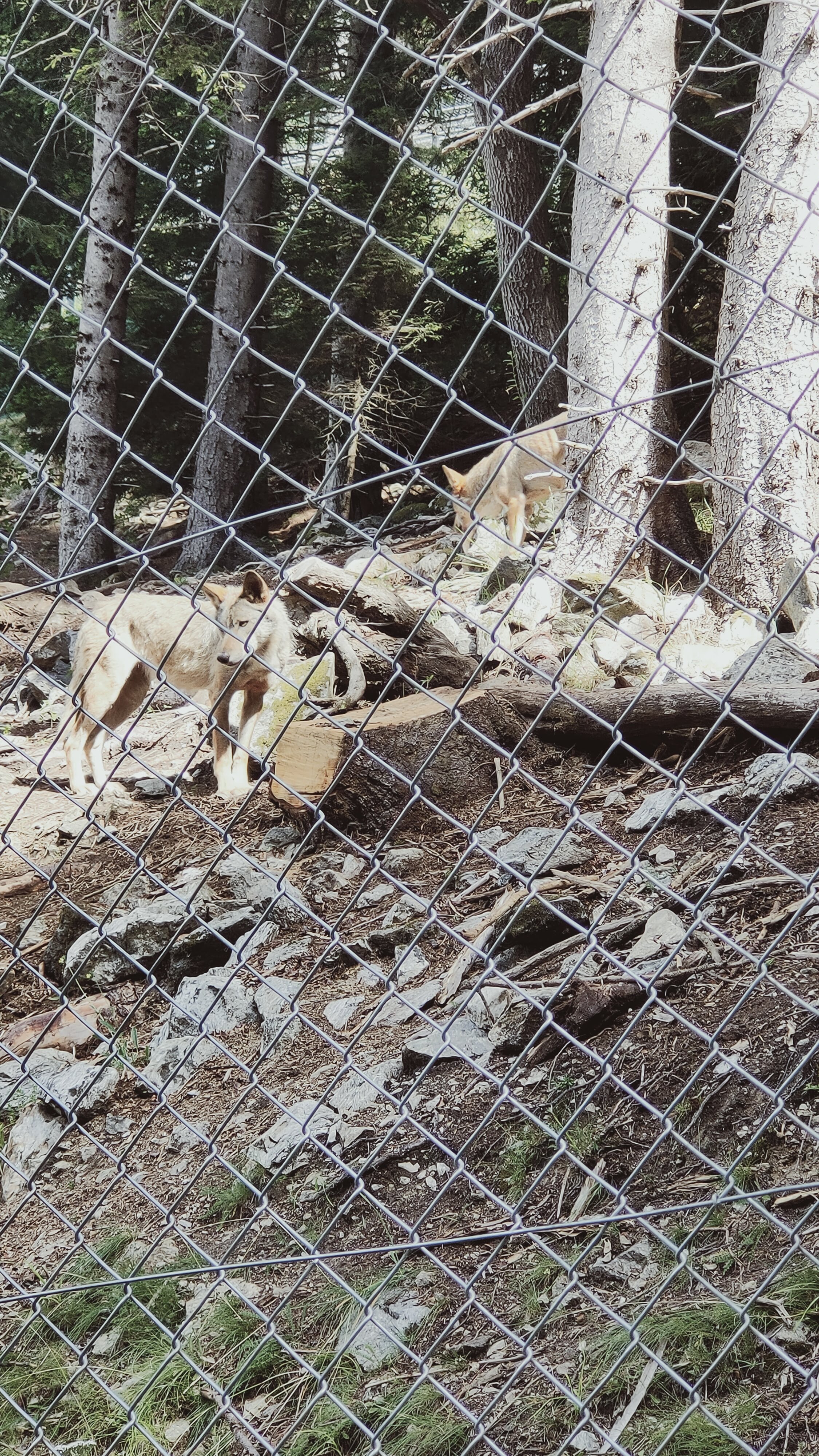 Photo n° 4 de l'avis de Christelle. fait le 05/08/2021 à 14:08