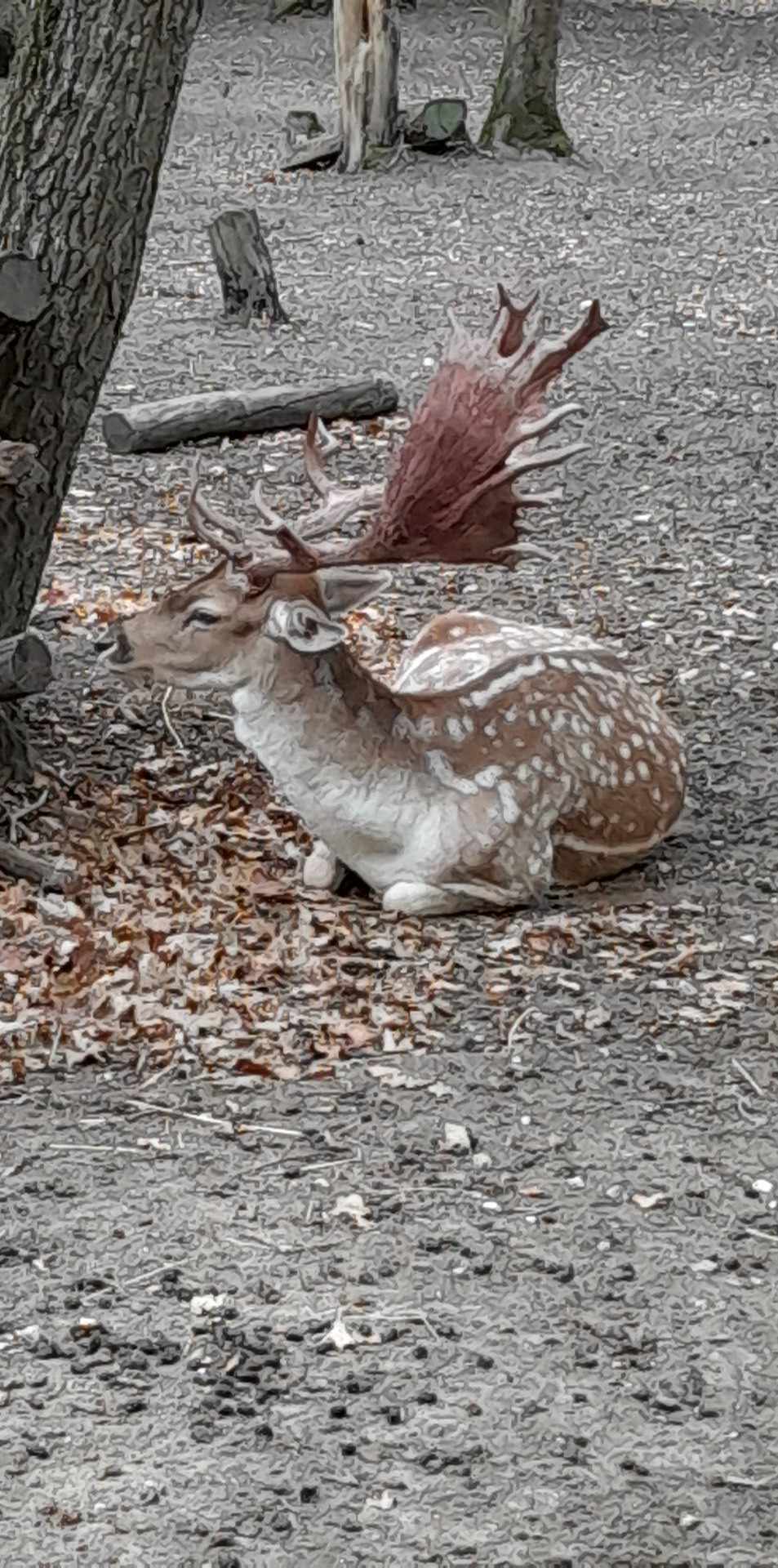 Photo n° 4 de l'avis de dominique.a fait le 29/08/2023 à 17:25