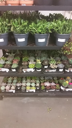 Home Improvement Store «The Home Depot», reviews and photos, 2801 James Sanders Blvd, Paducah, KY 42001, USA