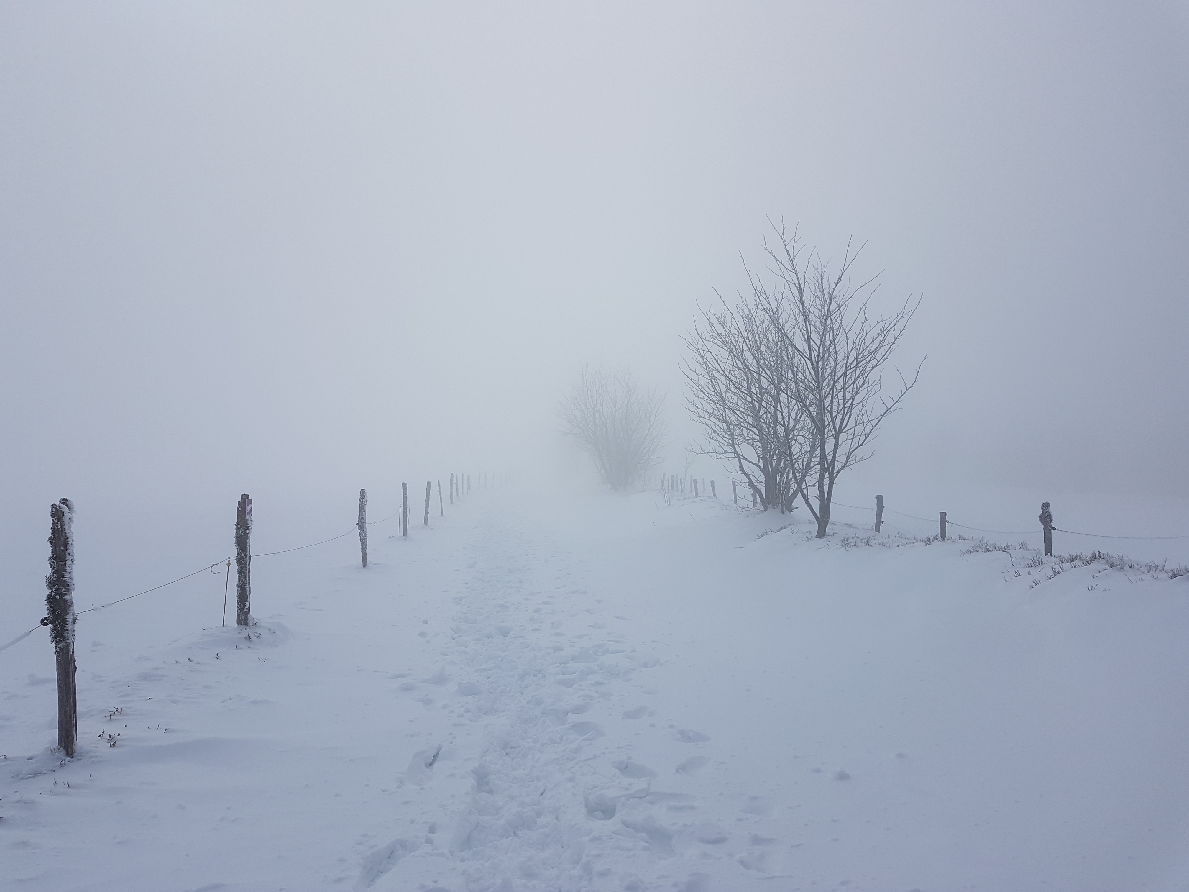 Photo n° 5 de l'avis de B..a fait le 21/11/2019 à 13:08