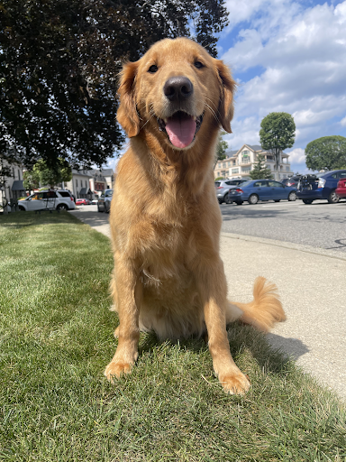 131 Point St, Providence, RI 02903, USA