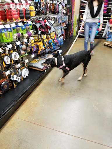 Pet Store «RedRidge Pet Market», reviews and photos, 2276 John Rolfe Pkwy, Henrico, VA 23238, USA