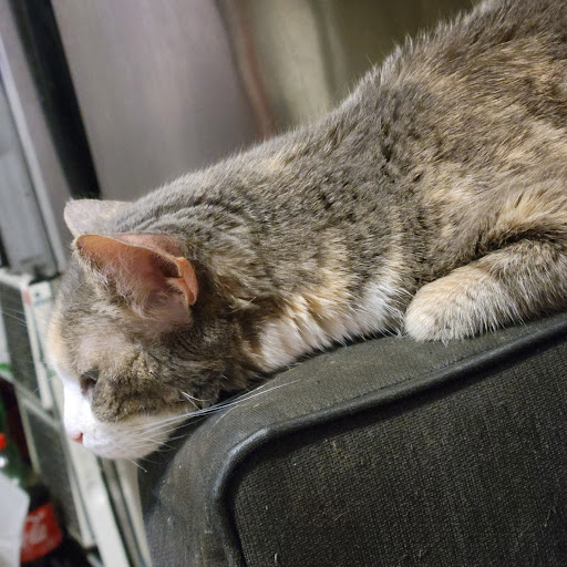 1390 2nd Ave, New York, NY 10021, USA