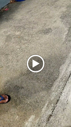 Gym «Planet Fitness», reviews and photos, 374 Main St, Belleville, NJ 07109, USA