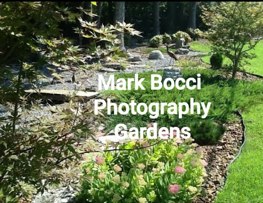 Mark C Bocci Photography