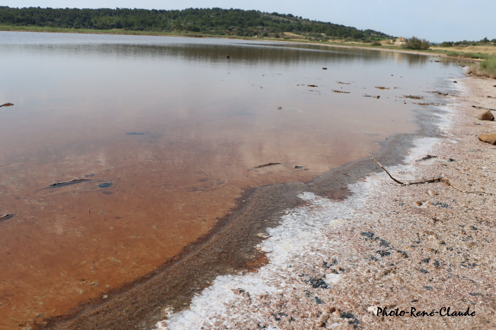 Photo n° 6 de l'avis de rené.a fait le 20/07/2019 à 17:42