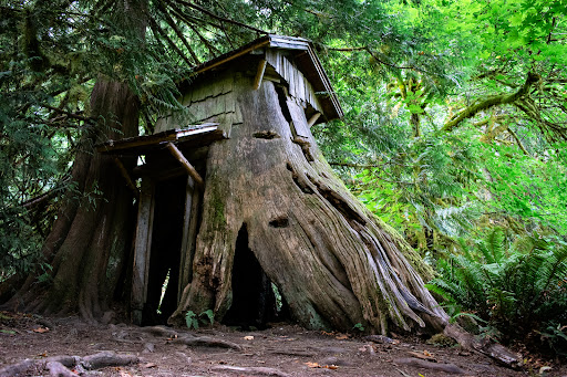 Kitsap County Guillemot Cove Nature Reserve