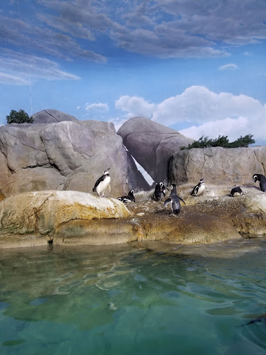 Zoo «John Ball Zoo», reviews and photos, 1300 West Fulton Street, Grand Rapids, MI 49504, USA