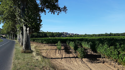 Munoz Sebastien Henri Michel à Castelnau-de-Guers