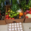 Ceja Produce Farmer market at your door