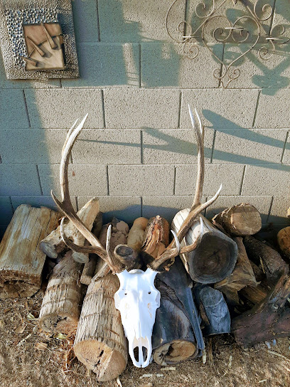 Art of the Outdoorsman Taxidermy