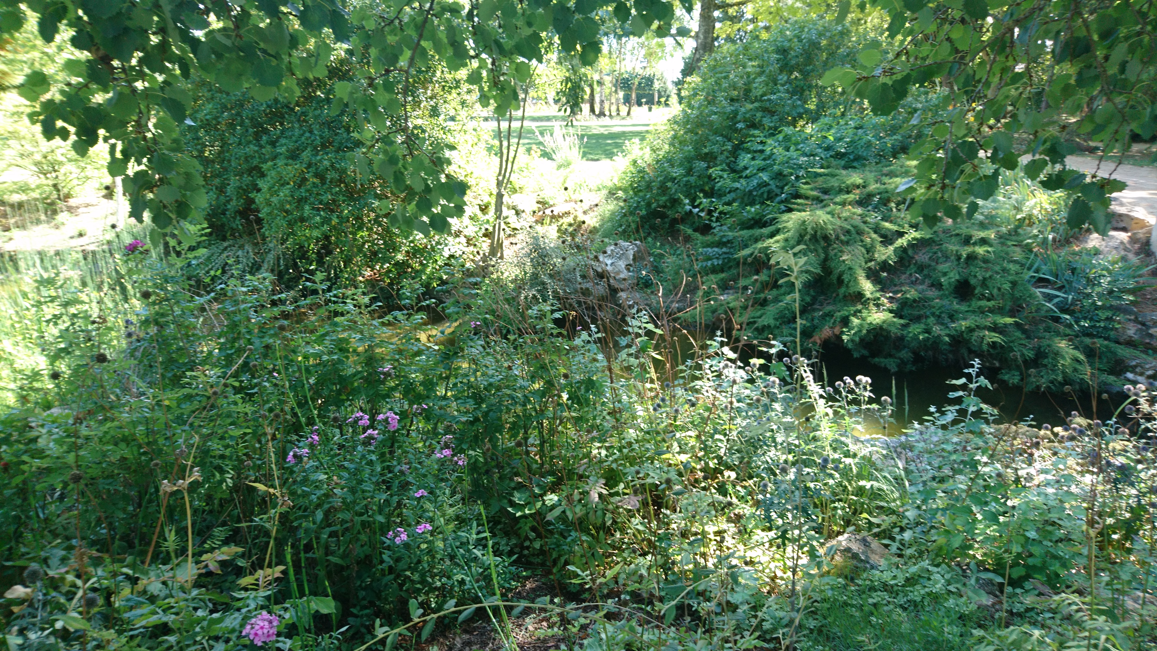 Photo n° 34 de l'avis de david.o fait le 23/08/2019 à 15:25