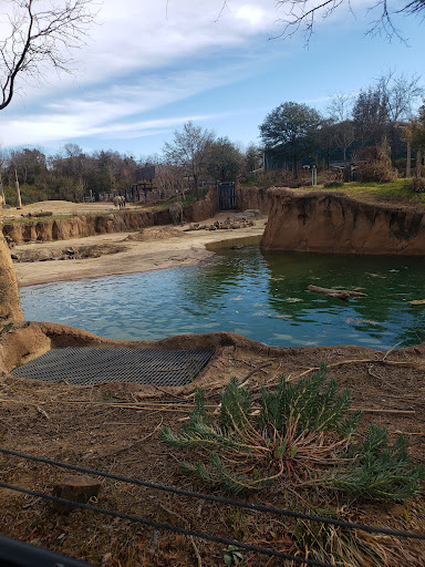 Zoo «Dallas Zoological Society», reviews and photos, 650 S R L Thornton Fwy, Dallas, TX 75203, USA