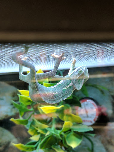 Pet Supply Store «Petco Animal Supplies», reviews and photos, 450 N Rte 17, Paramus, NJ 07652, USA