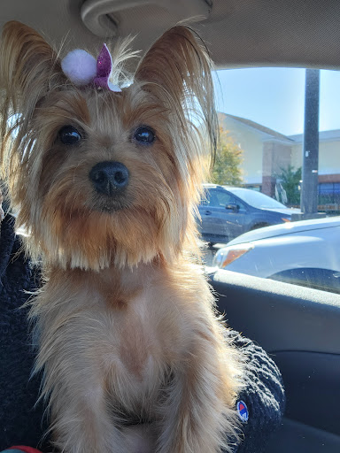 Pet Supply Store «PetSmart», reviews and photos, 1236 Greenbrier Pkwy, Chesapeake, VA 23320, USA