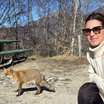 Photo n°7 de l'avis de Fabio.a fait le 06/02/2024 à 17:27 sur le  A Cavu't à Pescasseroli