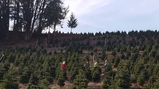 Gift Shop «Sleighbells Of Sherwood (Seasonal Business Open July1-December 23)», reviews and photos, 23855 SW 195th Pl, Sherwood, OR 97140, USA