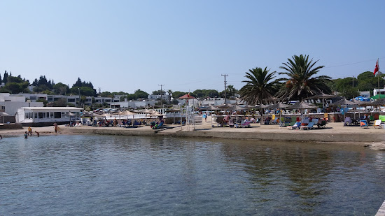 Shipyard beach