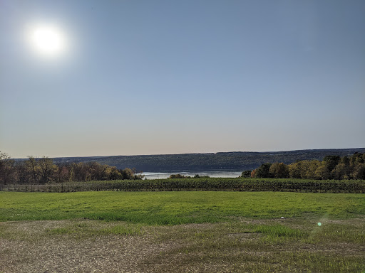 Tour Agency «Experience! The Finger Lakes», reviews and photos, 501 Warren Rd, Ithaca, NY 14850, USA