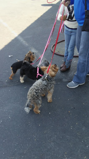 Pet Supply Store «River Valley Feed & Pet Supply», reviews and photos, 6549 16th St, Rio Linda, CA 95673, USA