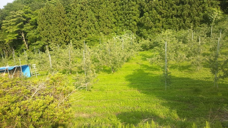 勝山果樹園