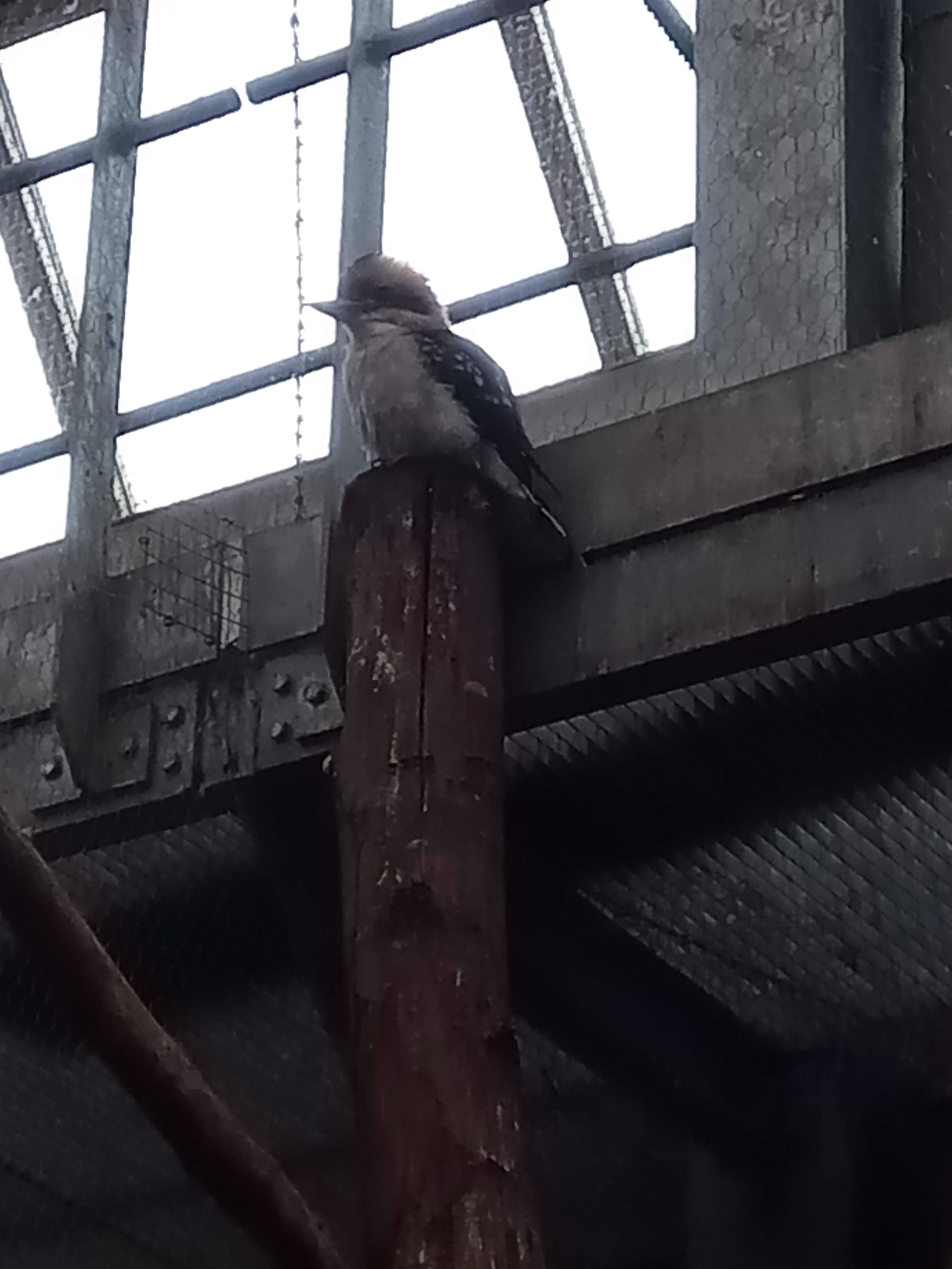 Photo n° 5 de l'avis de Frédéric.u fait le 30/08/2018 à 06:39