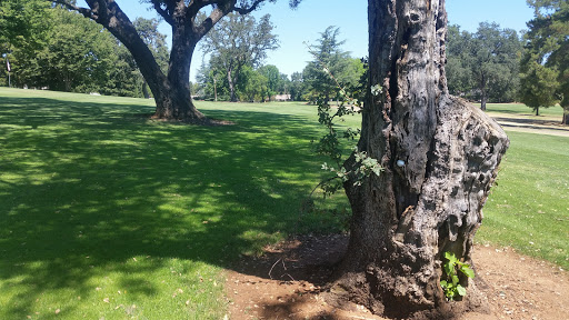 Country Club «Cameron Park Country Club», reviews and photos, 3201 Royal Dr, Cameron Park, CA 95682, USA