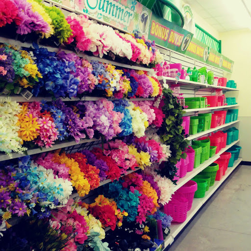 Dollar Store «Dollar Tree», reviews and photos, 8715 Dallas Acworth Hwy, Dallas, GA 30132, USA