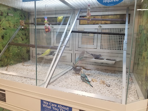 Pet Supply Store «PetSmart», reviews and photos, 3450 N Morrison Rd, Muncie, IN 47304, USA