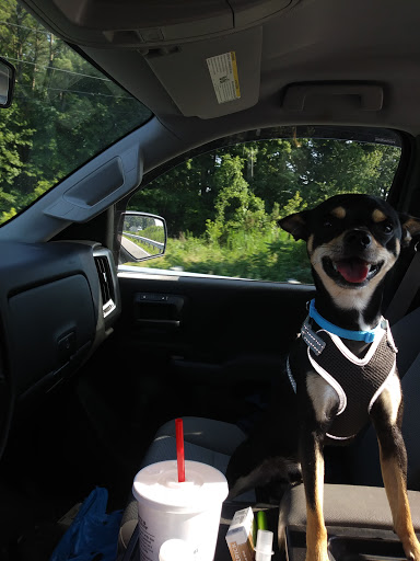 11279 Stewart Neck Rd, Princess Anne, MD 21853, USA