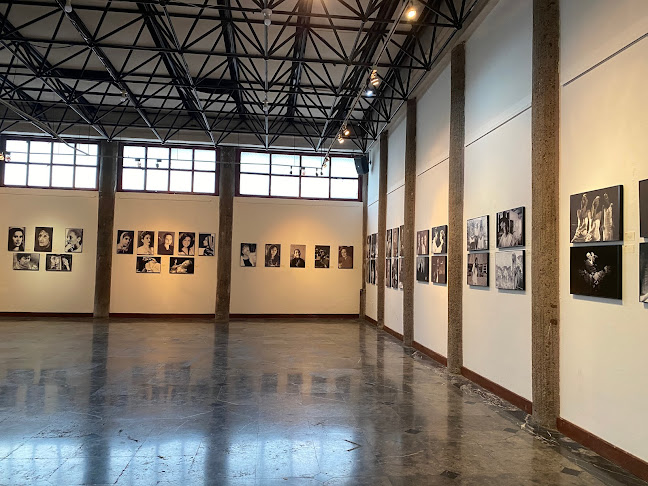 Opiniones de Museos de la Casa de la Cultura en Quito - Museo