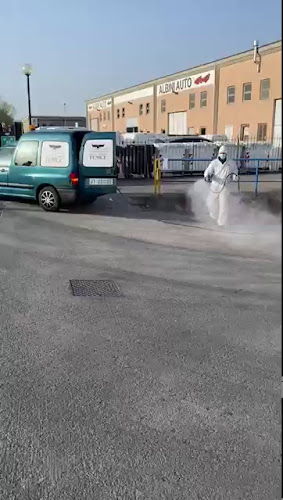 Recensioni di Fenice servizi Srl - Servizi di pulizia e disinfestazione a Brescia - Servizio di Pulizia