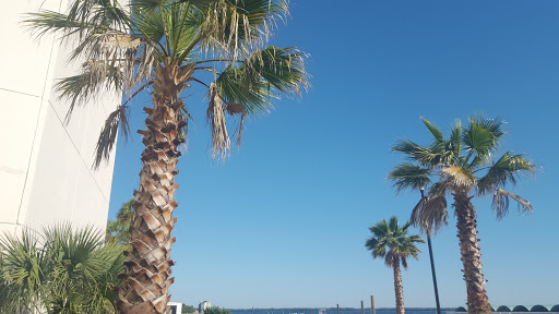 Event Venue «Marina Civic Center», reviews and photos, 8 Harrison Ave, Panama City, FL 32401, USA