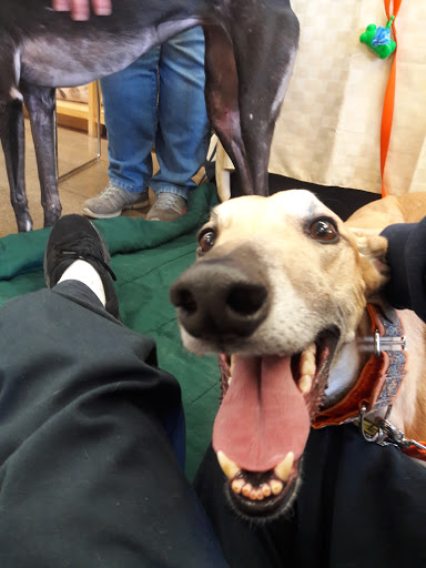 Pet Supply Store «PetPeople», reviews and photos, 6520 Telegraph Rd, Bloomfield Hills, MI 48301, USA