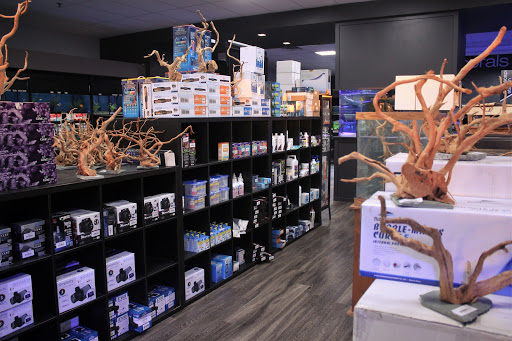 Tropical Fish Store «Aquarium Artisans», reviews and photos, 8005 Plainfield Rd #11, Cincinnati, OH 45236, USA