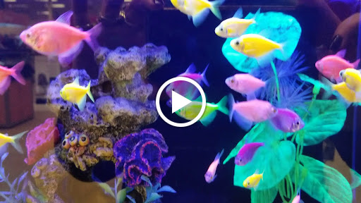 Pet Supply Store «Petco Animal Supplies», reviews and photos, 187 Stonebrook Pl, Jackson, TN 38305, USA