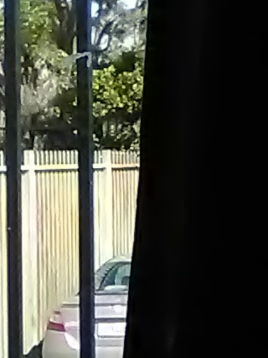 Cell Phone Store «AT&T Authorized Retailer», reviews and photos, 23639 Calabasas Rd, Calabasas, CA 91302, USA