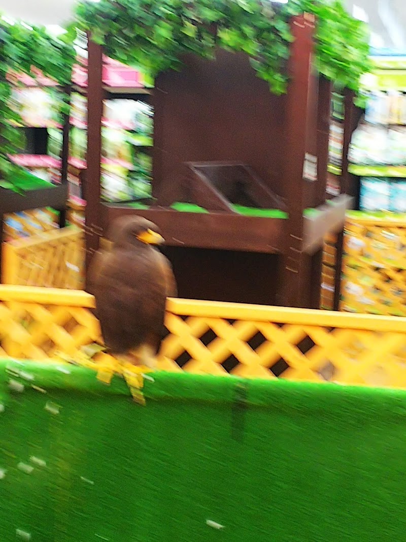 コーナン 大東新田店 大阪府大東市新田境町 ホームセンター グルコミ